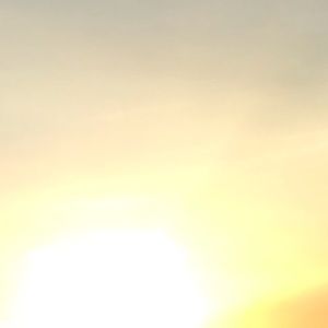 Meet your Posher, Alyea